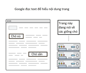 toi-uu-hoa-hinh-anh-SEO-the-alt